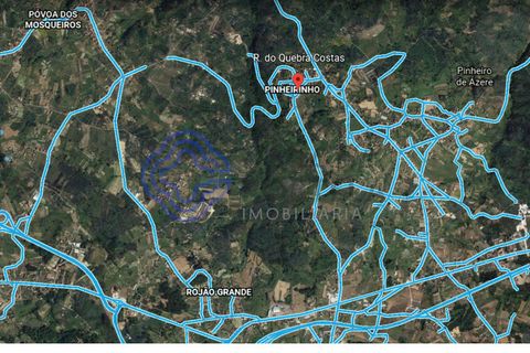 Terra a Santa Comba Dao, Viseu, Santa Comba Dao - € 25.000 | Ref: 131041 - foto 10
