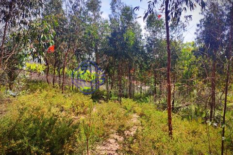Helårsgrund i Valongo, Porto, Valongo - € 165.000 | Ref: 131251 - foto 8