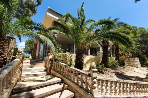 Landejendom i Monovar, Alicante, Monovar - € 630.000 | Ref: CF2398 - foto 36