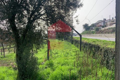 Helårsgrund i Vila Verde, Braga, Vila Verde - € 225.000 | Ref: 05902 - foto 2