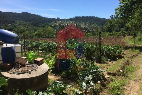 Helårsgrund i Vila Verde, Braga, Vila Verde - € 36.500 | Ref: 05557 - foto 3