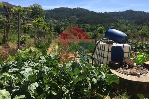 Helårsgrund i Vila Verde, Braga, Vila Verde - € 36.500 | Ref: 05557 - foto 4