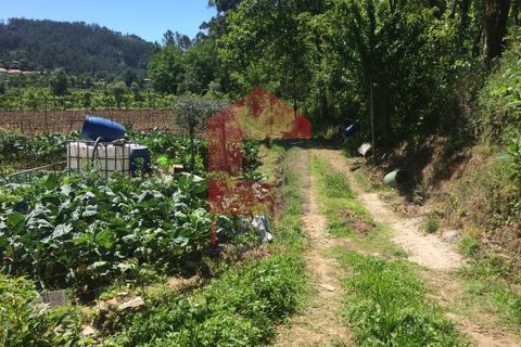 Helårsgrund i Vila Verde, Braga, Vila Verde - € 36.500 | Ref: 05557 - foto 5