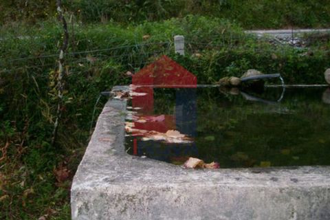 Helårsgrund i Vila Verde, Braga, Vila Verde - € 24.500 | Ref: 05976 - foto 4