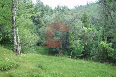 Helårsgrund i Vila Verde, Braga, Vila Verde - € 90.000 | Ref: 00915 - foto 5