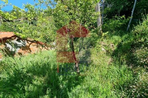 Byhus i Terras de Bouro, Braga, Terras de Bouro - € 56.500 | Ref: 07133 - foto 21