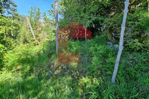 Byhus i Terras de Bouro, Braga, Terras de Bouro - € 56.500 | Ref: 07133 - foto 23