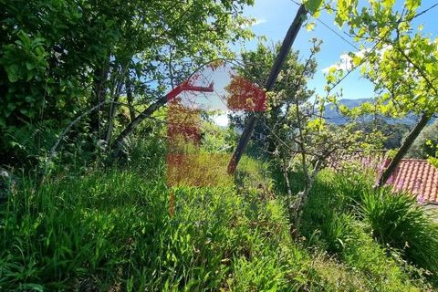 Byhus i Terras de Bouro, Braga, Terras de Bouro - € 56.500 | Ref: 07133 - foto 24