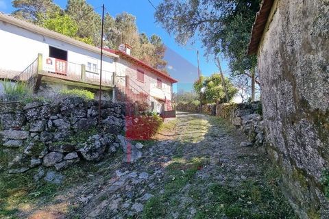 Byhus i Terras de Bouro, Braga, Terras de Bouro - € 56.500 | Ref: 07133 - foto 28