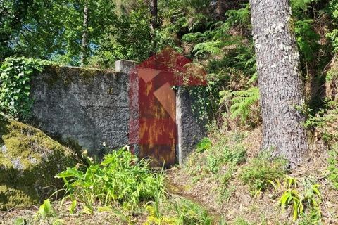Byhus i Terras de Bouro, Braga, Terras de Bouro - € 56.500 | Ref: 07133 - foto 33