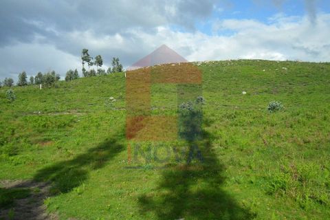 Helårsgrund i Vila Verde, Braga, Vila Verde - € 37.500 | Ref: 03607 - foto 2