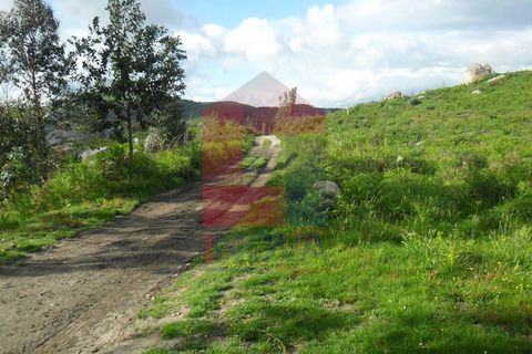 Helårsgrund i Vila Verde, Braga, Vila Verde - € 37.500 | Ref: 03607 - foto 4