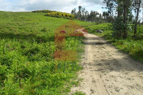 Helårsgrund i Vila Verde, Braga, Vila Verde - € 37.500 | Ref: 03607 - foto 5
