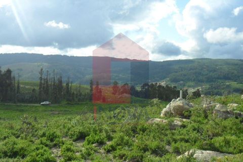 Helårsgrund i Vila Verde, Braga, Vila Verde - € 37.500 | Ref: 03607 - foto 13