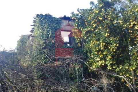 Byhus i Vila Verde, Braga, Vila Verde - € 150.000 | Ref: 03367 - foto 3