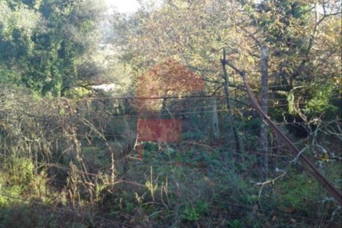 Byhus i Vila Verde, Braga, Vila Verde - € 150.000 | Ref: 03367 - foto 8