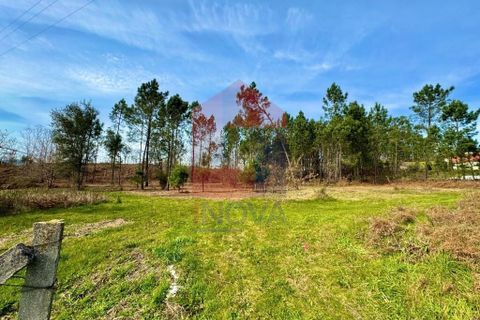 Helårsgrund i Vila Verde, Braga, Vila Verde - € 140.000 | Ref: 04872 - foto 11