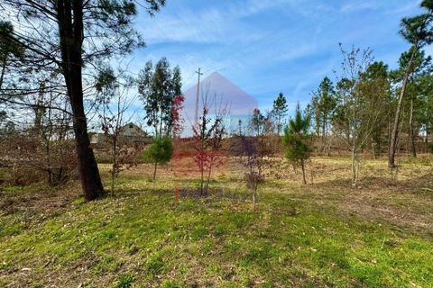 Helårsgrund i Vila Verde, Braga, Vila Verde - € 140.000 | Ref: 04872 - foto 12