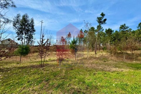 Helårsgrund i Vila Verde, Braga, Vila Verde - € 140.000 | Ref: 04872 - foto 16