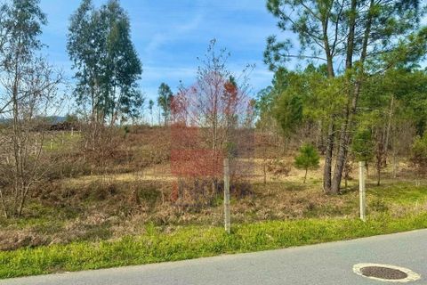 Helårsgrund i Vila Verde, Braga, Vila Verde - € 140.000 | Ref: 04872 - foto 17