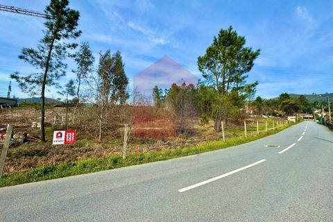 Helårsgrund i Vila Verde, Braga, Vila Verde - € 140.000 | Ref: 04872 - foto 20