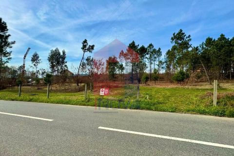 Helårsgrund i Vila Verde, Braga, Vila Verde - € 140.000 | Ref: 04872 - foto 22