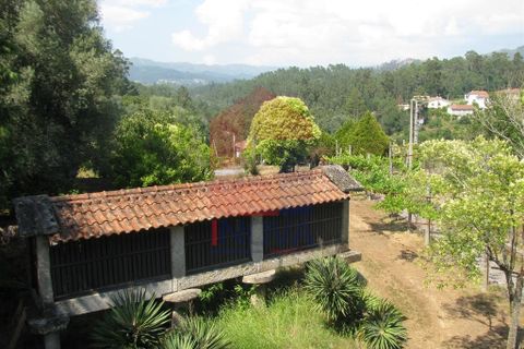Farm i Vila Verde, Braga, Vila Verde - € 1.350.000 | Ref: 06009 - foto 11
