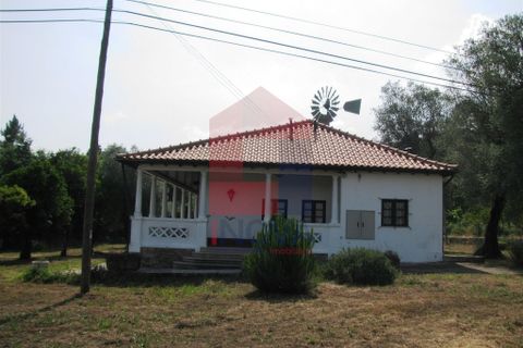 Farm i Vila Verde, Braga, Vila Verde - € 1.350.000 | Ref: 06009 - foto 37