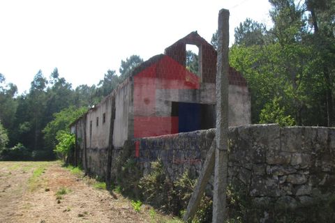 Farm i Vila Verde, Braga, Vila Verde - € 1.350.000 | Ref: 06009 - foto 38