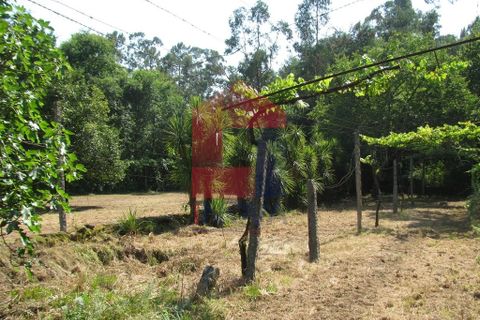 Farm i Vila Verde, Braga, Vila Verde - € 1.350.000 | Ref: 06009 - foto 39