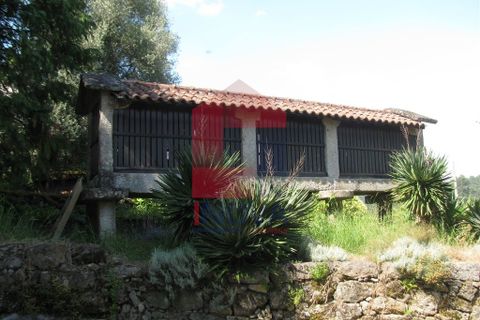 Farm i Vila Verde, Braga, Vila Verde - € 1.350.000 | Ref: 06009 - foto 41