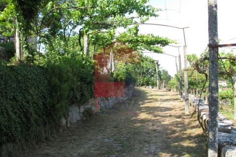 Farm i Vila Verde, Braga, Vila Verde - € 1.350.000 | Ref: 06009 - foto 42