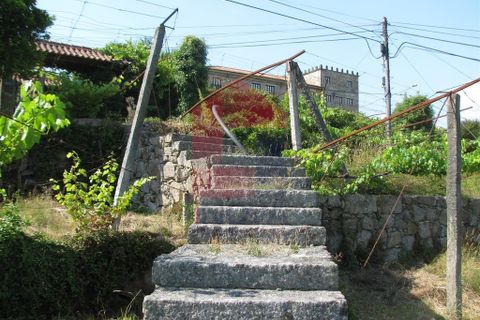 Farm i Vila Verde, Braga, Vila Verde - € 1.350.000 | Ref: 06009 - foto 43