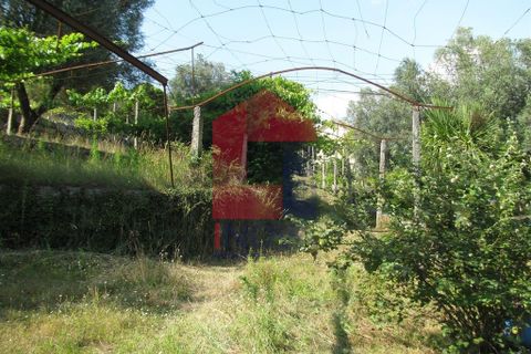 Farm i Vila Verde, Braga, Vila Verde - € 1.350.000 | Ref: 06009 - foto 46
