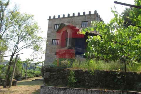 Farm i Vila Verde, Braga, Vila Verde - € 1.350.000 | Ref: 06009 - foto 48
