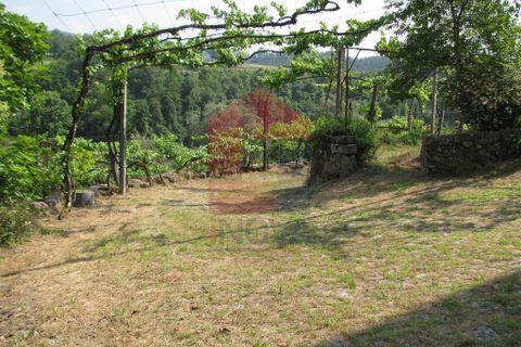 Farm i Vila Verde, Braga, Vila Verde - € 1.350.000 | Ref: 06009 - foto 50