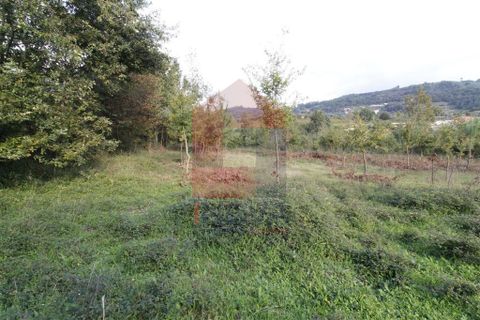 Helårsgrund i Vila Verde, Braga, Vila Verde - € 21.000 | Ref: 06534 - foto 2