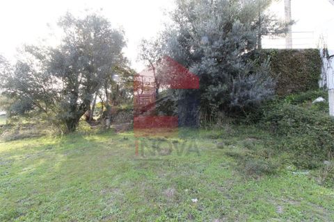 Helårsgrund i Vila Verde, Braga, Vila Verde - € 21.000 | Ref: 06534 - foto 3