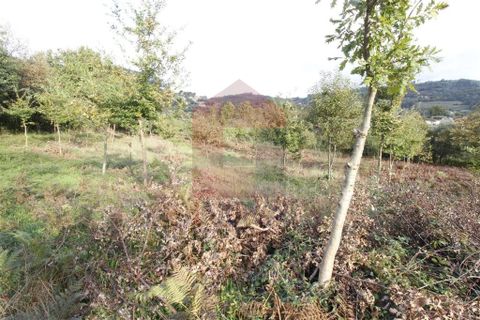 Helårsgrund i Vila Verde, Braga, Vila Verde - € 21.000 | Ref: 06534 - foto 4