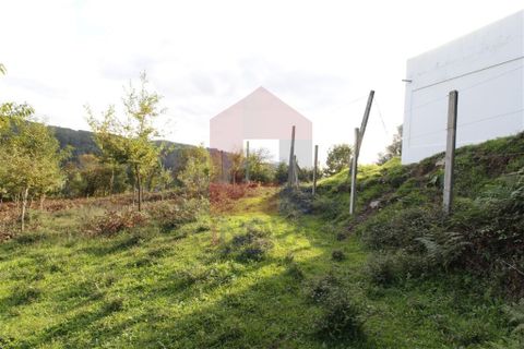 Helårsgrund i Vila Verde, Braga, Vila Verde - € 21.000 | Ref: 06534 - foto 5