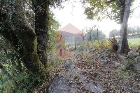 Helårsgrund i Vila Verde, Braga, Vila Verde - € 21.000 | Ref: 06534 - foto 7