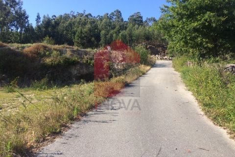 Helårsgrund i Vila Verde, Braga, Vila Verde - € 45.500 | Ref: 06379 - foto 6