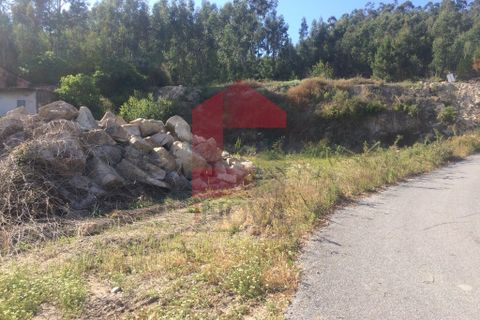 Helårsgrund i Vila Verde, Braga, Vila Verde - € 45.500 | Ref: 06379 - foto 9
