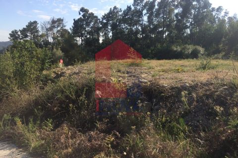 Helårsgrund i Vila Verde, Braga, Vila Verde - € 45.500 | Ref: 06379 - foto 12