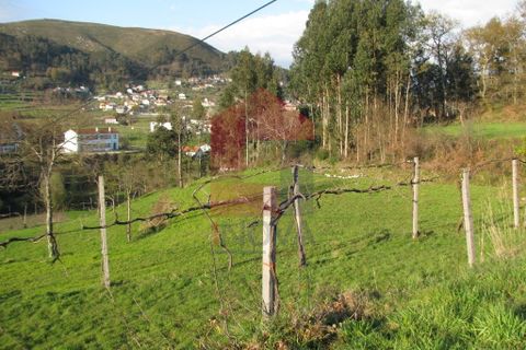 Helårsgrund i Vila Verde, Braga, Vila Verde - € 86.500 | Ref: 05032 - foto 9