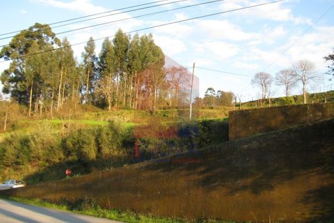 Helårsgrund i Vila Verde, Braga, Vila Verde - € 86.500 | Ref: 05032 - foto 10