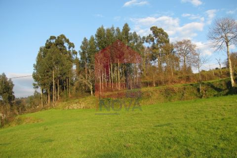 Helårsgrund i Vila Verde, Braga, Vila Verde - € 86.500 | Ref: 05032 - foto 11