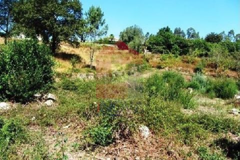 Helårsgrund i Vila Verde, Braga, Vila Verde - € 31.000 | Ref: 05347 - foto 2