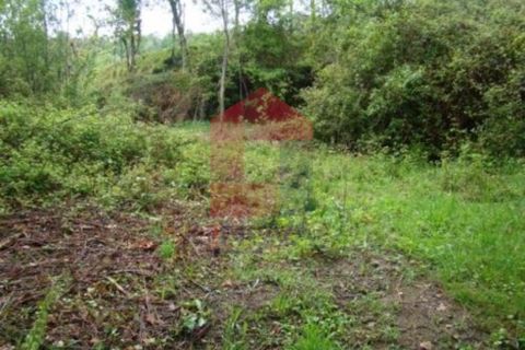 Helårsgrund i Vila Verde, Braga, Vila Verde - € 15.000 | Ref: 06226 - foto 1