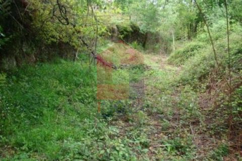 Helårsgrund i Vila Verde, Braga, Vila Verde - € 15.000 | Ref: 06226 - foto 2